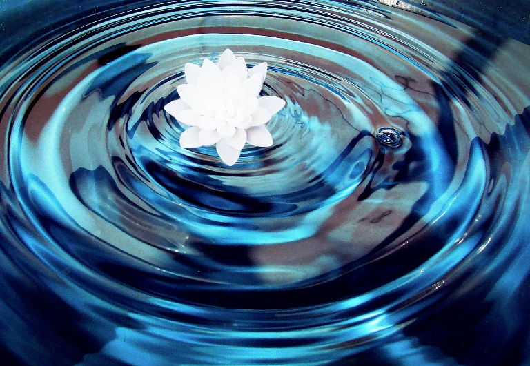 Cái gì của ta là của ta, của người là của người, biết đủ là đủ, chân lý giản đơn - Ảnh minh họa